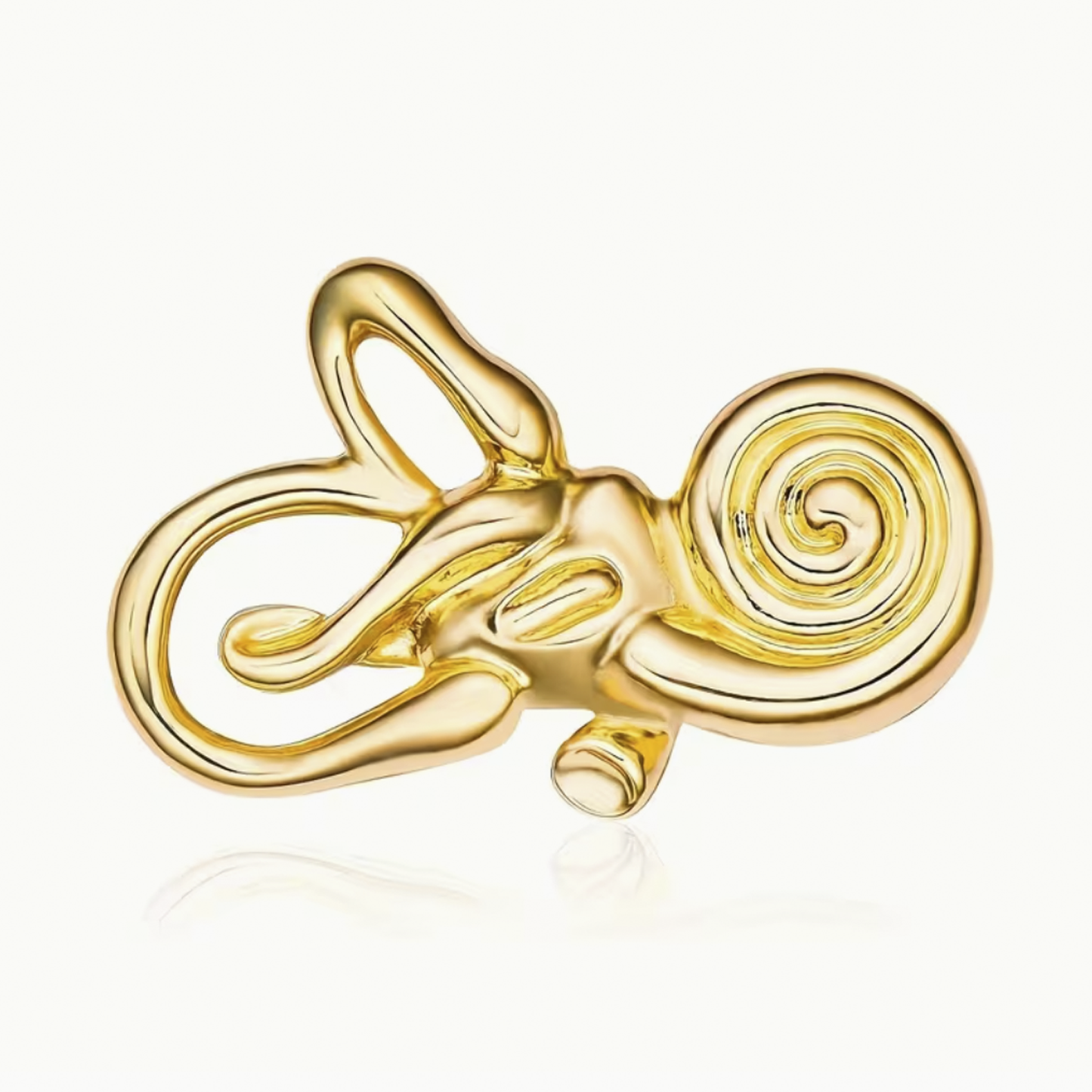 Pin Oído Interno