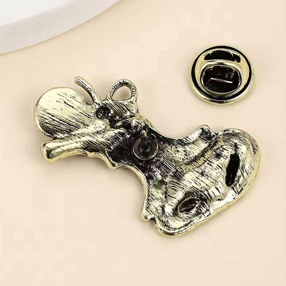 Pin Oído
