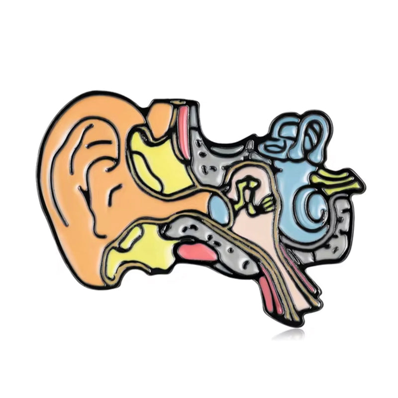 Pin Anatomía Oído