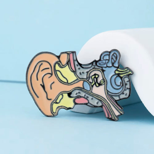 Pin Anatomía Oído