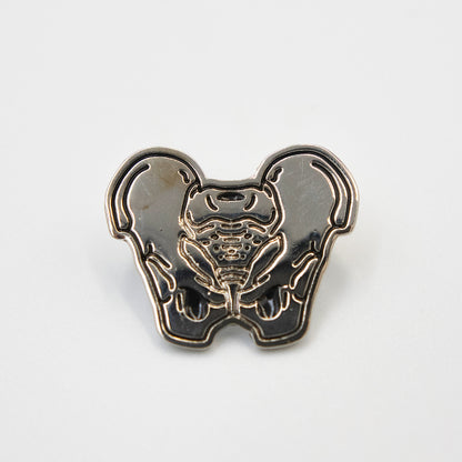Pin Pelvis