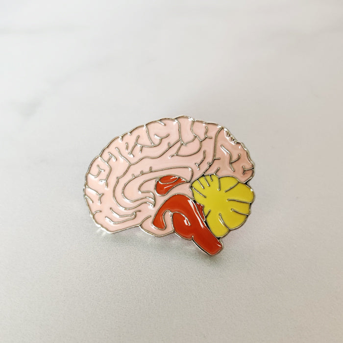 Pin Encéfalo