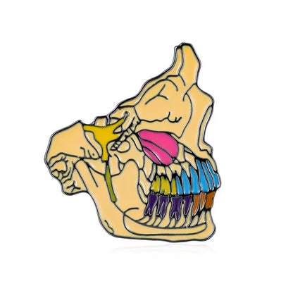 Pin Nervio Trigémino