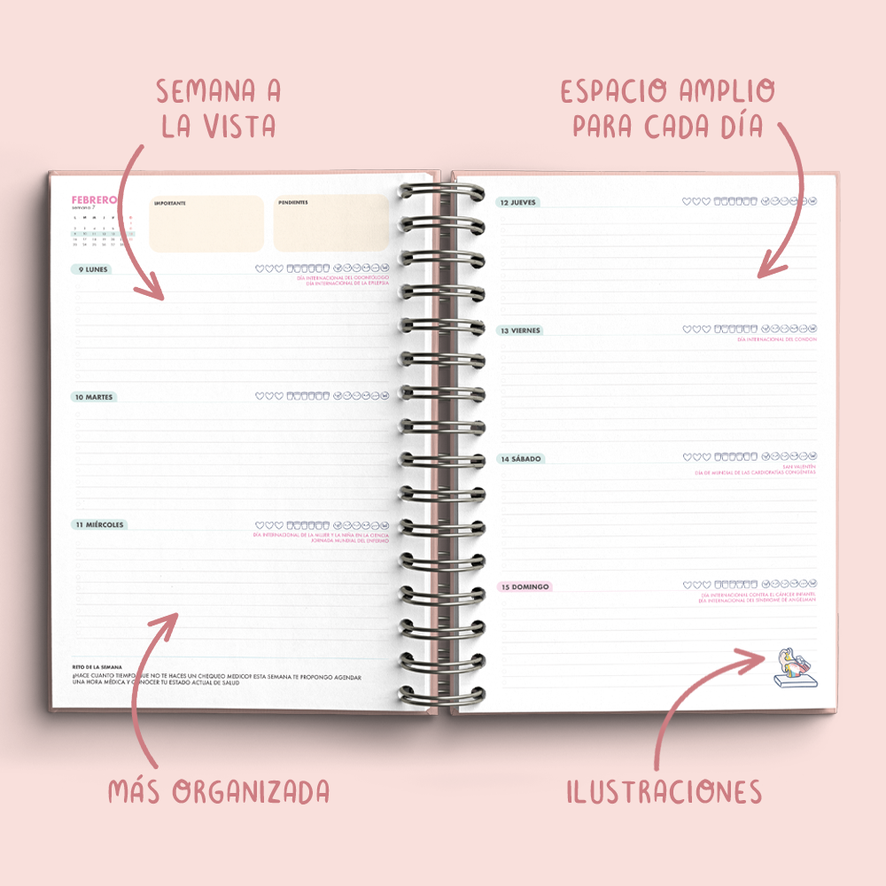 Agenda Fonoaudiología 2026