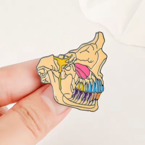 Pin Nervio Trigémino