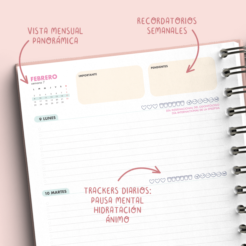 Agenda Fonoaudiología 2026