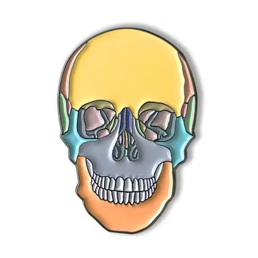 Pin Cráneo Frontal