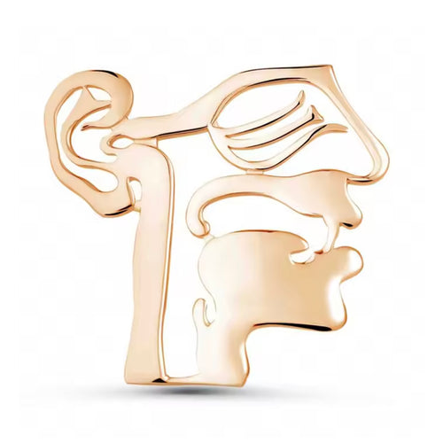 Pin Otorrinolaringología