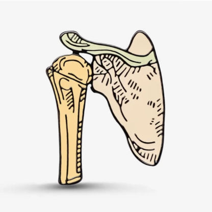 Pin Glenohumeral