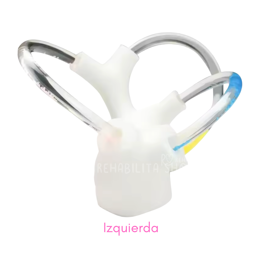 Modelo Oído Canales Semicirculares